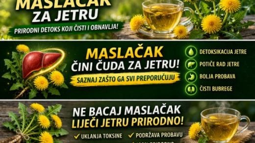 Maslačak za jetru